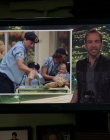 See_Dad_Run_S01E13_mkv3144.jpg