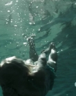 Filename=Revenge_S02E01_mp42990.jpg
Filesize=136KiB
Dimensions=720x406
Date added=Jul 01, 2025 Revenge_S02E01_mp42990.jpg
