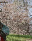 Filename=Have_You_Seen_Charlie_mp44527.jpg
Filesize=480KiB
Dimensions=1280x540
Date added=Jul 01, 2025 Have_You_Seen_Charlie_mp44527.jpg