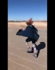 Daybreak_BTS_mp45086.jpg