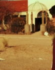 Daybreak_S01E01_mkv1256.jpg