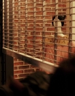 Daybreak_S01E02_mkv4614.jpg