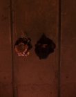 Daybreak_S01E06_mkv3833.jpg
