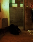 Filename=Daybreak_S01E06_mkv5350.jpg
Filesize=1176KiB
Dimensions=1920x960
Date added=Jul 01, 2025 Daybreak_S01E06_mkv5350.jpg