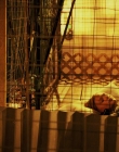 Daybreak_S01E10_mkv5397.jpg