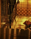 Daybreak_S01E10_mkv5398.jpg
