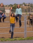 Filename=Walk_Ride_Rodeo_mp43236.jpg
Filesize=1172KiB
Dimensions=1920x960
Date added=Jul 01, 2025 Walk_Ride_Rodeo_mp43236.jpg