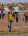 Filename=Walk_Ride_Rodeo_mp43237.jpg
Filesize=1170KiB
Dimensions=1920x960
Date added=Jul 01, 2025 Walk_Ride_Rodeo_mp43237.jpg