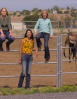 Filename=Walk_Ride_Rodeo_mp43238.jpg
Filesize=1165KiB
Dimensions=1920x960
Date added=Jul 01, 2025 Walk_Ride_Rodeo_mp43238.jpg