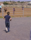Filename=Walk_Ride_Rodeo_mp43254.jpg
Filesize=1115KiB
Dimensions=1920x960
Date added=Jul 01, 2025 Walk_Ride_Rodeo_mp43254.jpg