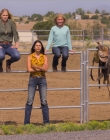Filename=Walk_Ride_Rodeo_mp43268.jpg
Filesize=1175KiB
Dimensions=1920x960
Date added=Jul 01, 2025 Walk_Ride_Rodeo_mp43268.jpg