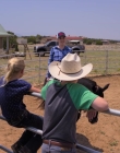Filename=Walk_Ride_Rodeo_mp44644.jpg
Filesize=997KiB
Dimensions=1920x960
Date added=Jul 01, 2025 Walk_Ride_Rodeo_mp44644.jpg