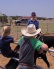 Filename=Walk_Ride_Rodeo_mp44645.jpg
Filesize=938KiB
Dimensions=1920x960
Date added=Jul 01, 2025 Walk_Ride_Rodeo_mp44645.jpg