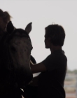 Filename=Walk_Ride_Rodeo_mp44840.jpg
Filesize=277KiB
Dimensions=1920x960
Date added=Jul 01, 2025 Walk_Ride_Rodeo_mp44840.jpg