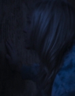 Filename=Masquerade_mp42197.jpg
Filesize=686KiB
Dimensions=1912x952
Date added=Jun 30, 2025 Masquerade_mp42197.jpg