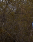 Filename=Chucky_S01E03_mp45835.jpg
Filesize=901KiB
Dimensions=1920x960
Date added=Jun 30, 2025 Chucky_S01E03_mp45835.jpg