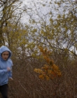 Filename=Chucky_S01E03_mp45875.jpg
Filesize=1382KiB
Dimensions=1920x960
Date added=Jun 30, 2025 Chucky_S01E03_mp45875.jpg