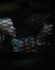 Filename=Chucky_S01E04_mp42158.jpg
Filesize=520KiB
Dimensions=1920x960
Date added=Jun 30, 2025 Chucky_S01E04_mp42158.jpg