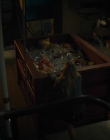 Filename=Chucky_S01E05_mp43403.jpg
Filesize=707KiB
Dimensions=1920x960
Date added=Jun 30, 2025 Chucky_S01E05_mp43403.jpg