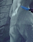Filename=Chucky_S01E08_mp47040.jpg
Filesize=899KiB
Dimensions=1920x960
Date added=Jun 30, 2025 Chucky_S01E08_mp47040.jpg