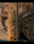 Filename=Chucky_S02E01_mkv2296.jpg
Filesize=694KiB
Dimensions=1920x1080
Date added=Jun 30, 2025 Chucky_S02E01_mkv2296.jpg