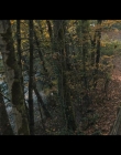 Filename=The_Spiderwick_Chronicles_S01E03_mkv6723.jpg
Filesize=1244KiB
Dimensions=1920x1080
Date added=Jun 30, 2025 The_Spiderwick_Chronicles_S01E03_mkv6723.jpg