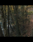 Filename=The_Spiderwick_Chronicles_S01E03_mkv6724.jpg
Filesize=1250KiB
Dimensions=1920x1080
Date added=Jun 30, 2025 The_Spiderwick_Chronicles_S01E03_mkv6724.jpg