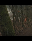 Filename=The_Spiderwick_Chronicles_S01E08_mkv3469.jpg
Filesize=1011KiB
Dimensions=1920x1080
Date added=Jun 30, 2025 The_Spiderwick_Chronicles_S01E08_mkv3469.jpg