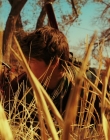 Daybreak_S01E01_mkv1623.jpg